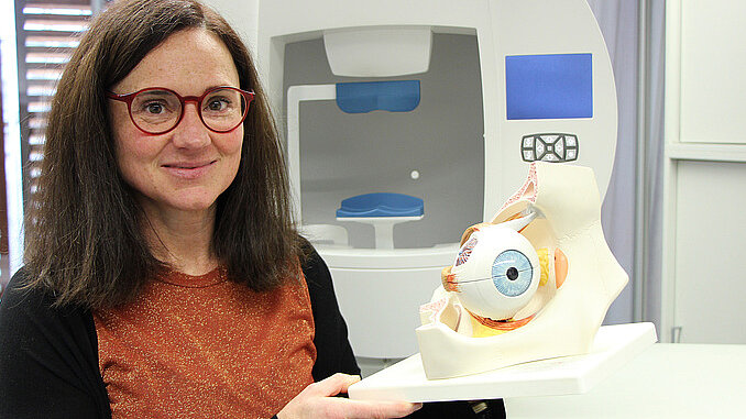 Das Wunderwerk des Sehens