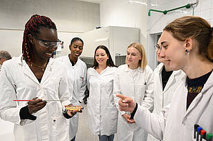 Sechs Studierende des Studiengangs Biopharmazeutische Wissenschaften untersuchen den Inhalt einer Petrischale.