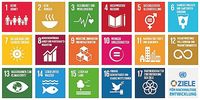 Grafik: Die Nachhaltigkeitsziele der UN